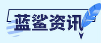 蓝鲨咨询logo